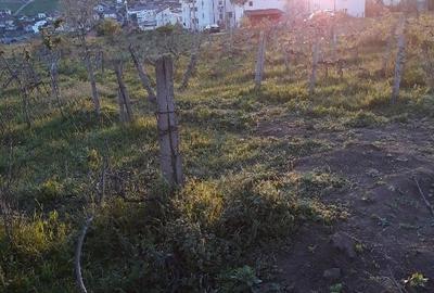 Teren Construcții intravilan de 2500 mp, în Bucium - 5
