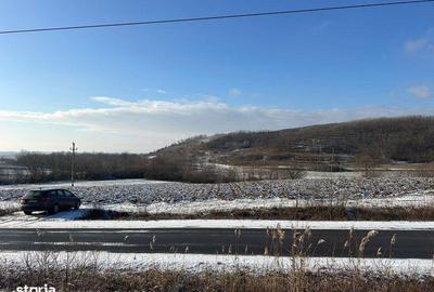 Teren de 9050 mp, în Tileagd - 5