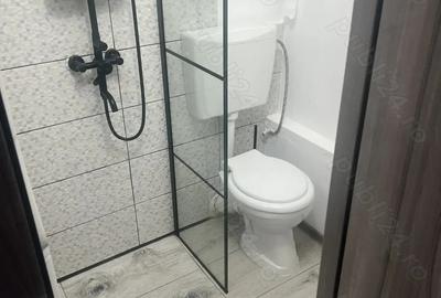Inchiriez garsoniera conf. 2 Bd. Decebal rond Alba Iulia complet renovata - 9