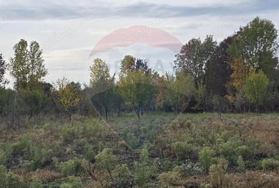 Teren generos cu potential in comuna Silindia, judetul Arad - 11