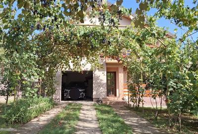 Casa Valea Lupului,Garaj,Beci,Gratar,Mobilata utilata,Teren 600 mp - 5