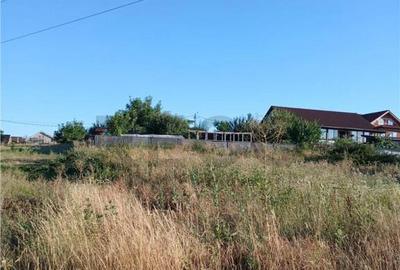 RECO Teren intravilan Sanmartin - 4