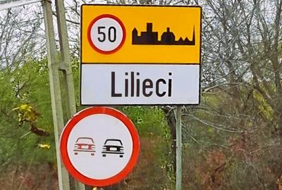 Lilieci, Sinesti, Judet Ialomita, Strada Dealului nr.1 - 17
