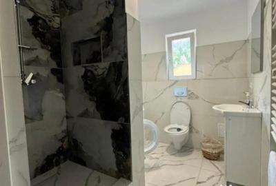 Casă cu 7 camere cu Teren 2500 Mp în Sucevița - 4