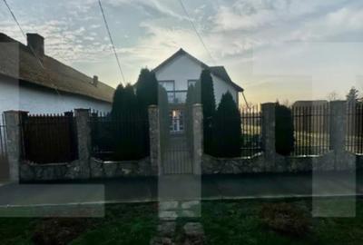 Casă cu 7 camere cu Teren 938 Mp în Peciu Nou - 4