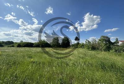 Teren de 11000 mp, în Ghirdoveni - 3