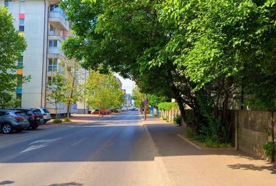 Spatiu comercial 123 mp, vitrina 15 ml, stradal Drumul Binelui - 3