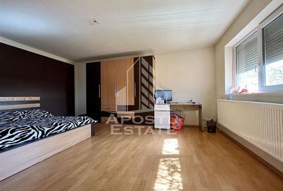 Vila individuala cu 5 camere zona Ronat - 20