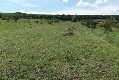 Spațiu comercial, în Chinteni - 2