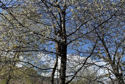 Teren de 3001 mp, în Bran - 3