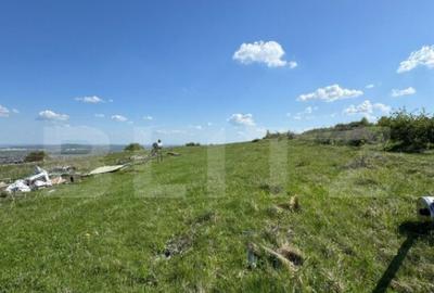 EXCLUSIVITATE! Cabana CHEILE TURZII, teren 8700 mp, privelis - 4