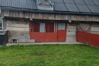 Casă cu 3 camere în Bocicoel - 8