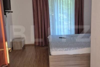 Casă cu 7 camere cu Teren 5000 Mp în Năsăud - 10