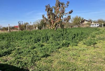 Spațiu comercial, în Grădiștea - 6