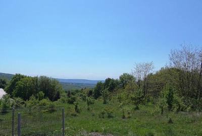 Teren de 850 mp, în Pietrărie - 4