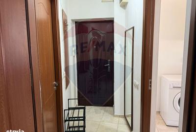 Garsonieră decomandată, mobilată în Brazda lui Novac - 8