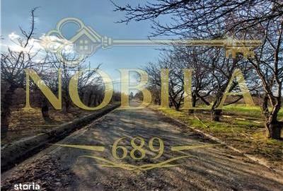 Spațiu comercial, în Central - 2