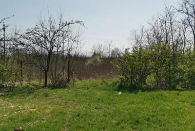 Casă cu 2 camere în Avrămeni - 3