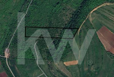 Teren Extravilan de vanzare, Hamba (Sibiu), 38.400 mp (3,84 ha), Pret competitiv - 2