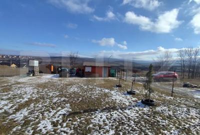 Teren de 700 mp, în Ciurea - 2