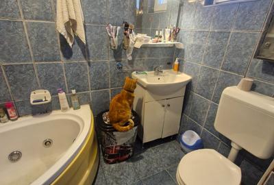 Casă individuală cu 6 camere cu Canalizare în Chitila - 12