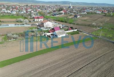 Teren de vanzare, Com. Nicolae Balcescu, Jud. Bacau - 9