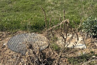 Teren de 1000 mp, în Sântandrei - 8