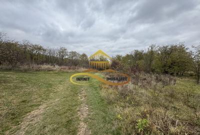 Teren intravilan in Fantanele | Hemeius - de vanzare - 3