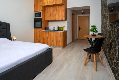 Garsoniera Prima Inchiriere Rin Grand Residence Delta Vacaresti Vitan - 4