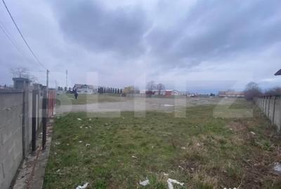 Teren de 8000 mp, în Cornu Luncii - 2