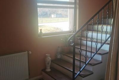 Casă cu 3 camere cu Teren 3000 Mp în Bogdănești - 4