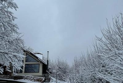 Casă cu 3 camere cu Teren 2500 Mp în Pruni - 7