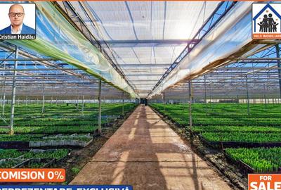 Sere: 10.640mp | Hala: 830mp | Teren 42.000mp | Lehliu-Gara - 7