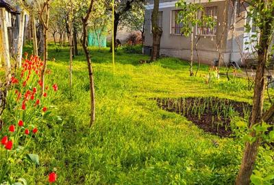 Casă cu Teren 1400 Mp în Central - 4