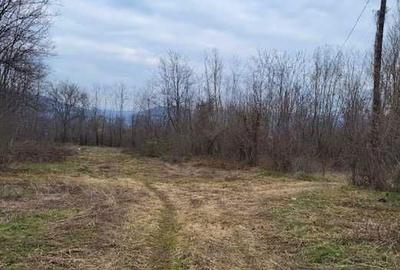 Teren de 2200 mp, în Unguriu - 4