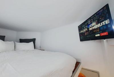 Garsonieră semidecomandată, mobilată în Romană - 10