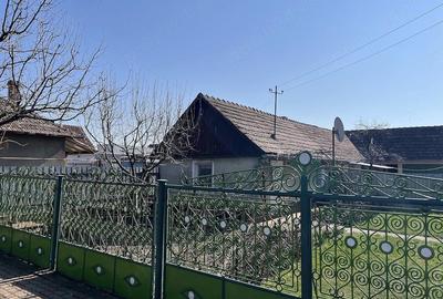 Casă cu Teren 1309 Mp în Carani - 1