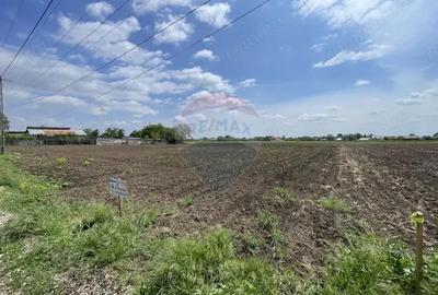 Teren de 2086 mp, în Țifești - 3