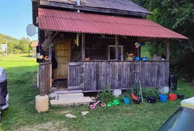 Casă cu Teren 2000 Mp în Scrind-Frăsinet - 4