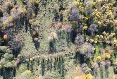 Teren si casa de vânzare la baza muntelui Iezer in Valea Mare Pravat - 7