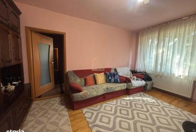 Apartament cu 3 camere în Săsar - 1