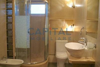 Apartament cu 5 camere semidecomandat, mobilat în Zorilor - 8