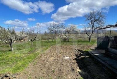 Casa cu 3 camere, 90 mp, 2 anexe gospodaresti si teren de 30 - 2