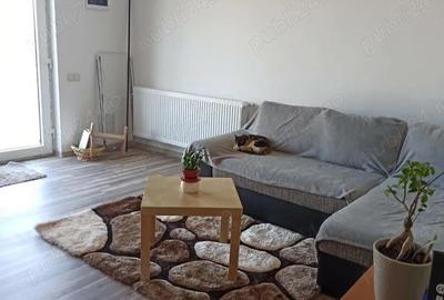 Casă cu 4 camere în Bâcu - 8
