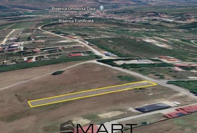 Teren 1600 mp Daia Noua - 3