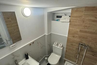 Vand vila cabana in Muntele Baisorii - 9