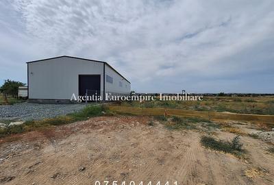 Teren de 2281 mp, în Lumina - 3