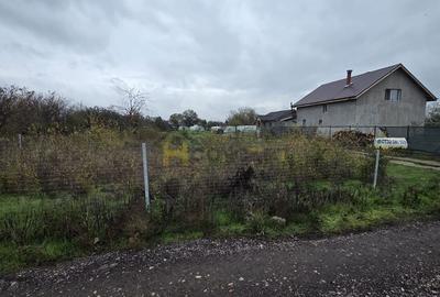 Teren Aleea Viilor Adunatii Copaceni - 5