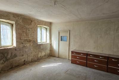 Proprietate exceptionala - Armeneasca - Cercului 2A - 12
