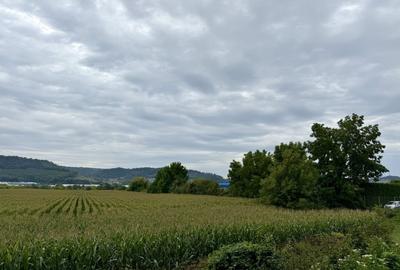 Teren intravilan de vânzare – zonă cu potențial ridicat de dezvoltare. - 3